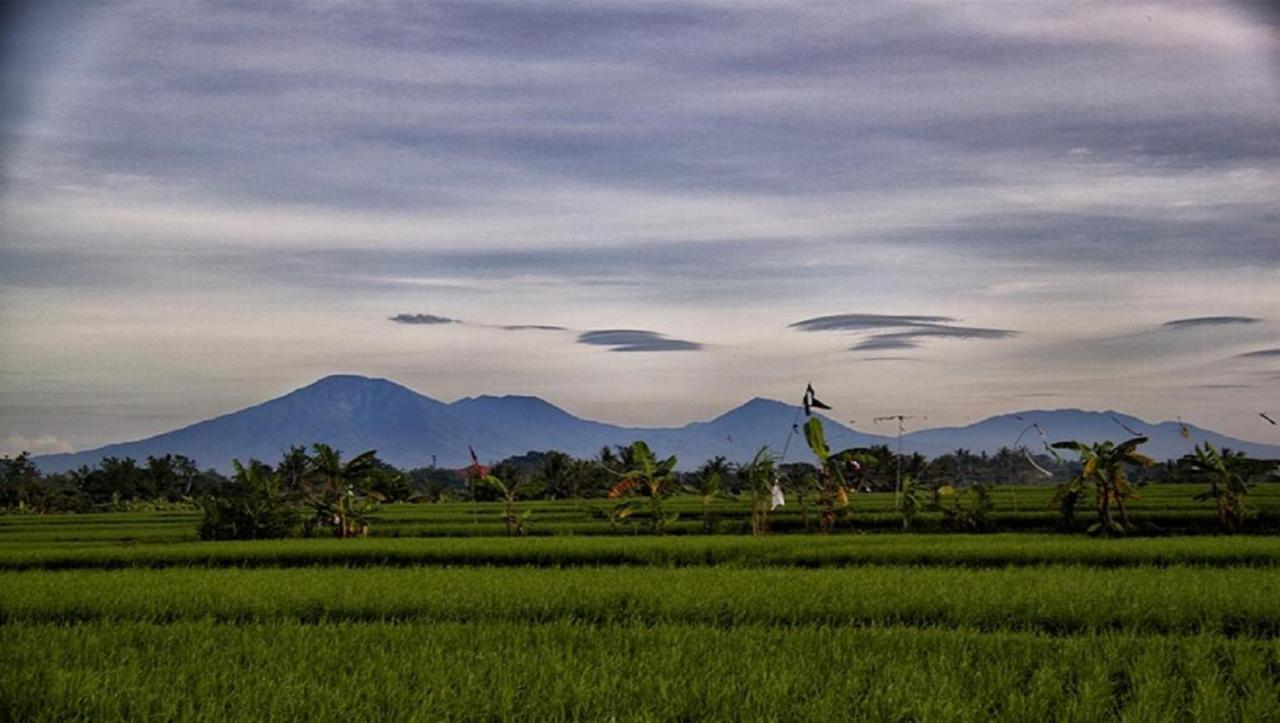 Pnb Bali Villas Canggu Exteriér fotografie